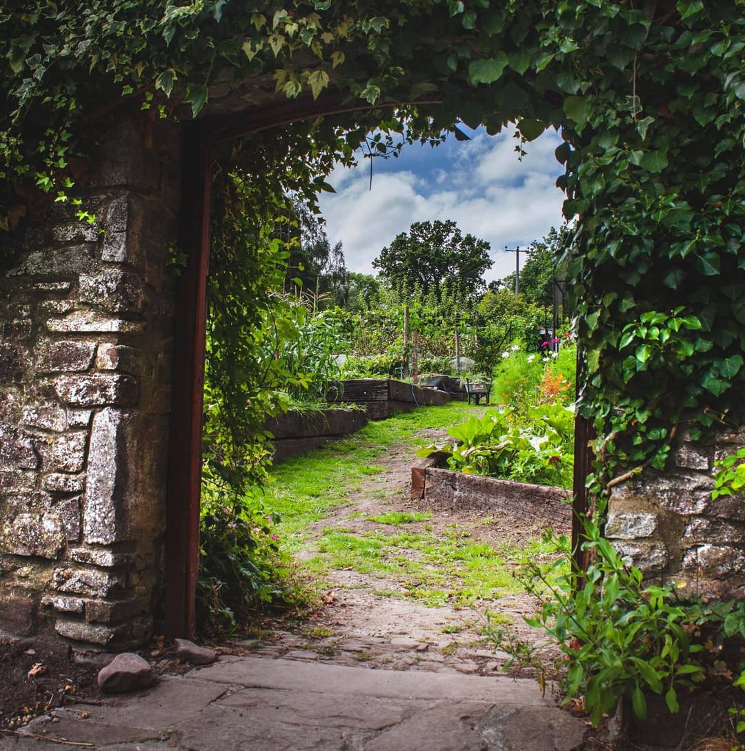 Entrance Gate