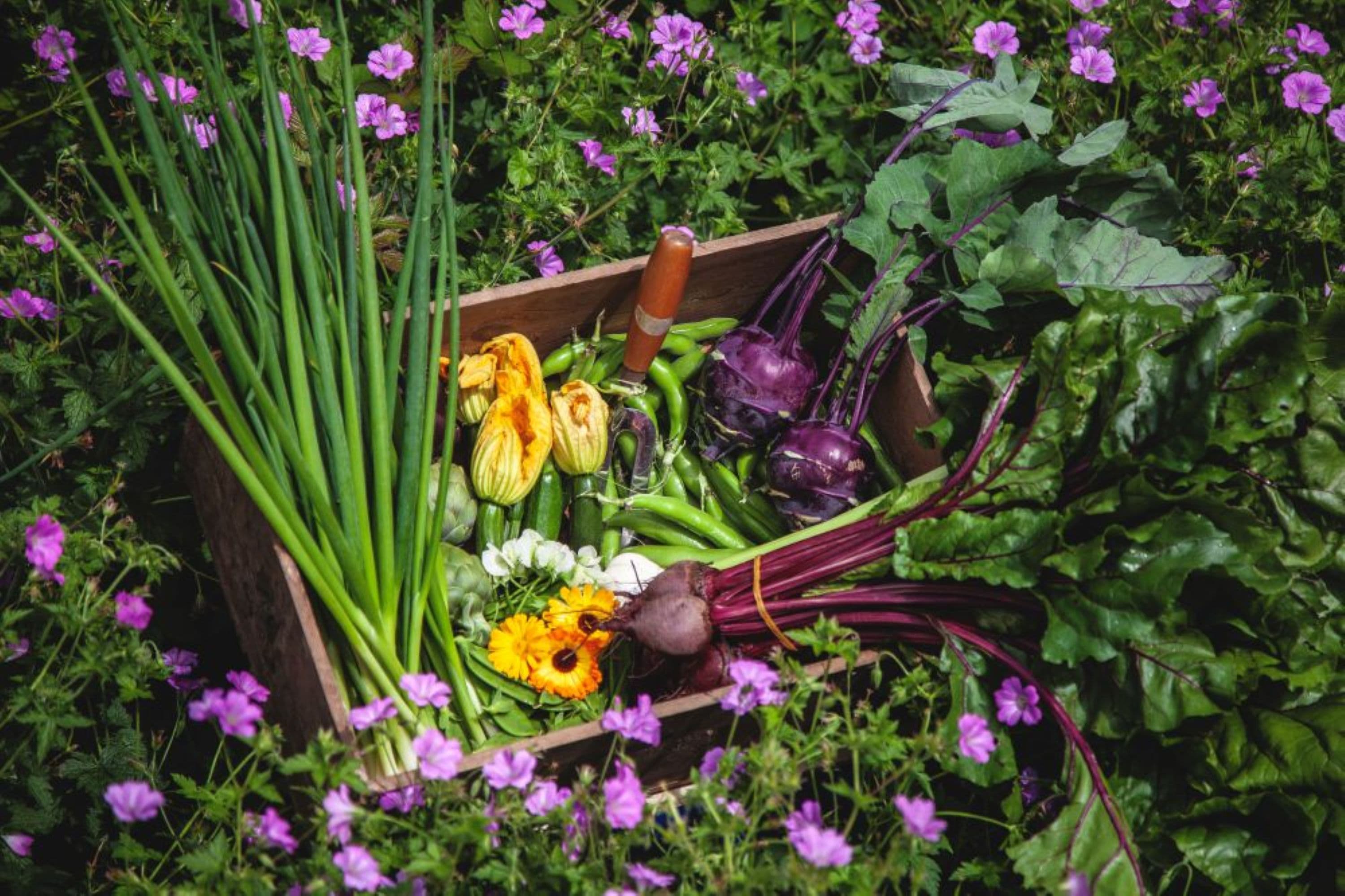 Veg Box