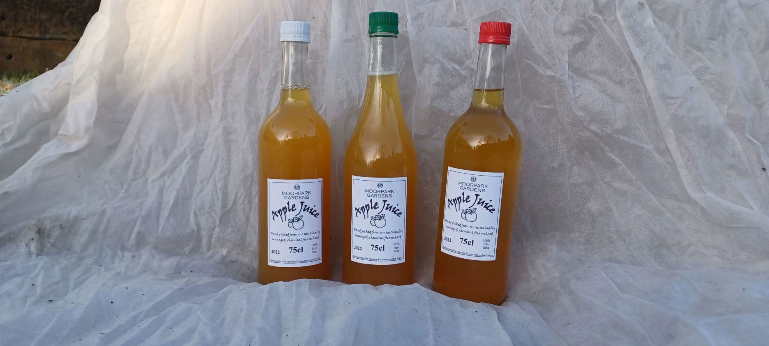 Apple Juice - medium