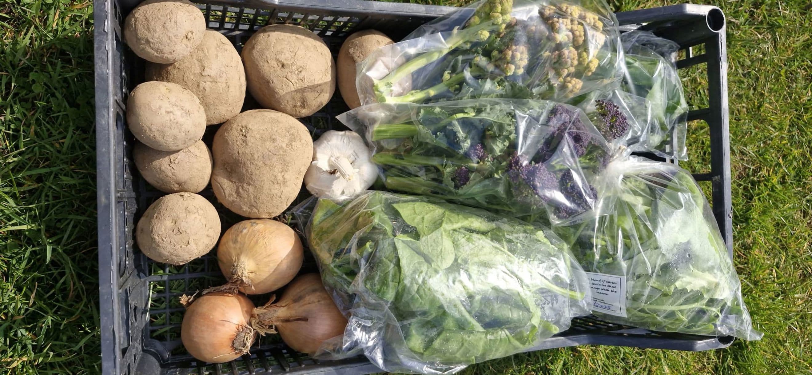 Veg Lovers Veg Box